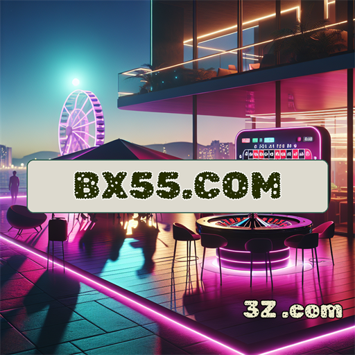 bx55.com