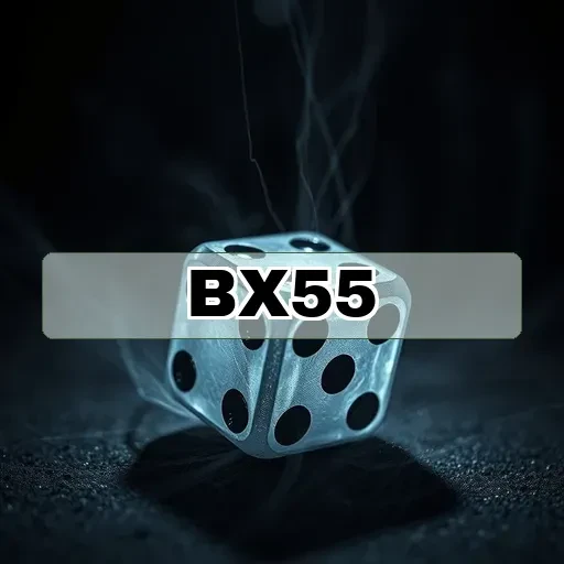 bx55.com Novos