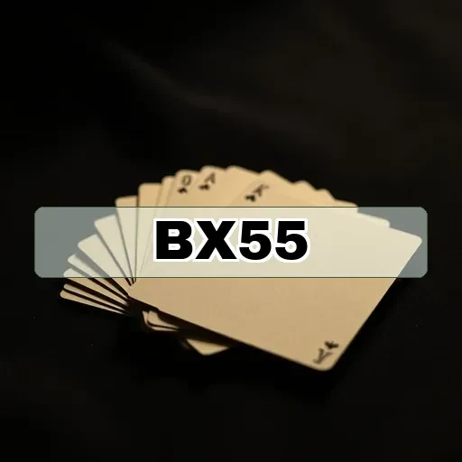 bx55.com Esportes