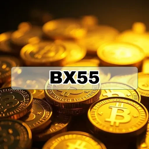 bx55.com Estratégia